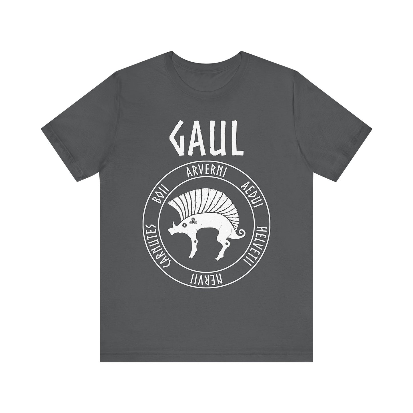 Gaul Ancient Tribes of Gaul Boar T-shirt