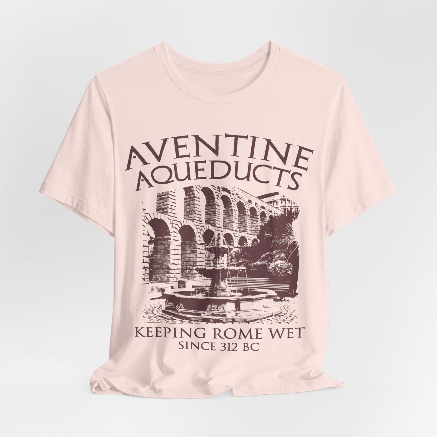 Aventine Aqueducts - Funny Ancient Roman History T-Shirt