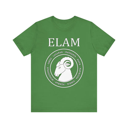 Elam - Ancient Elamite Gods - Bronze Age Civilization Elam T-Shirt