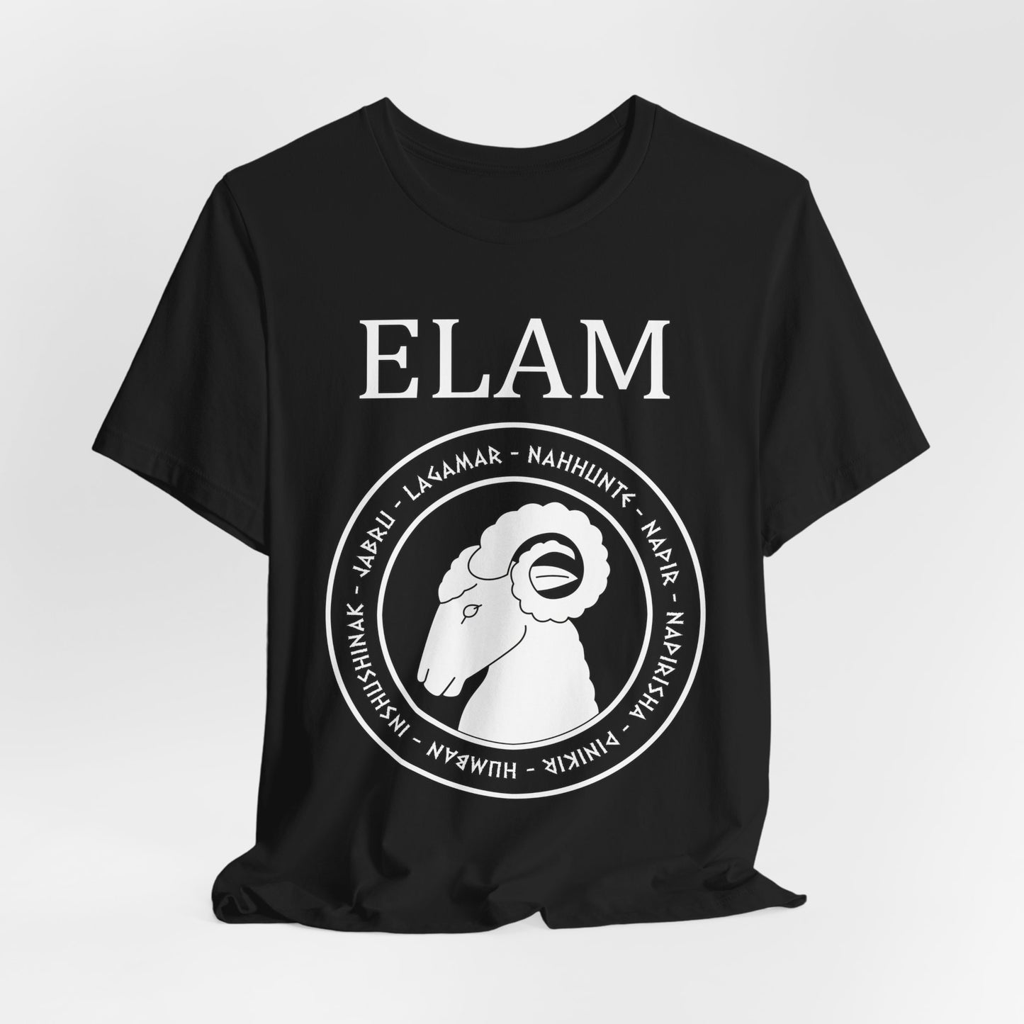 Elam - Ancient Elamite Gods - Bronze Age Civilization Elam T-Shirt