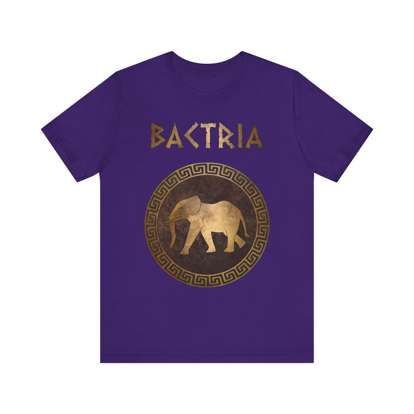 Bactria Ancient Indo-Greek Kingdom Symbol T-Shirt