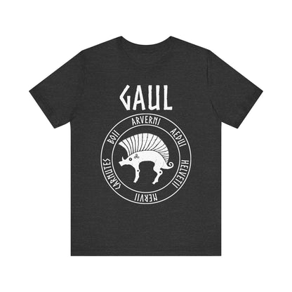 Gaul Ancient Tribes of Gaul Boar T-shirt