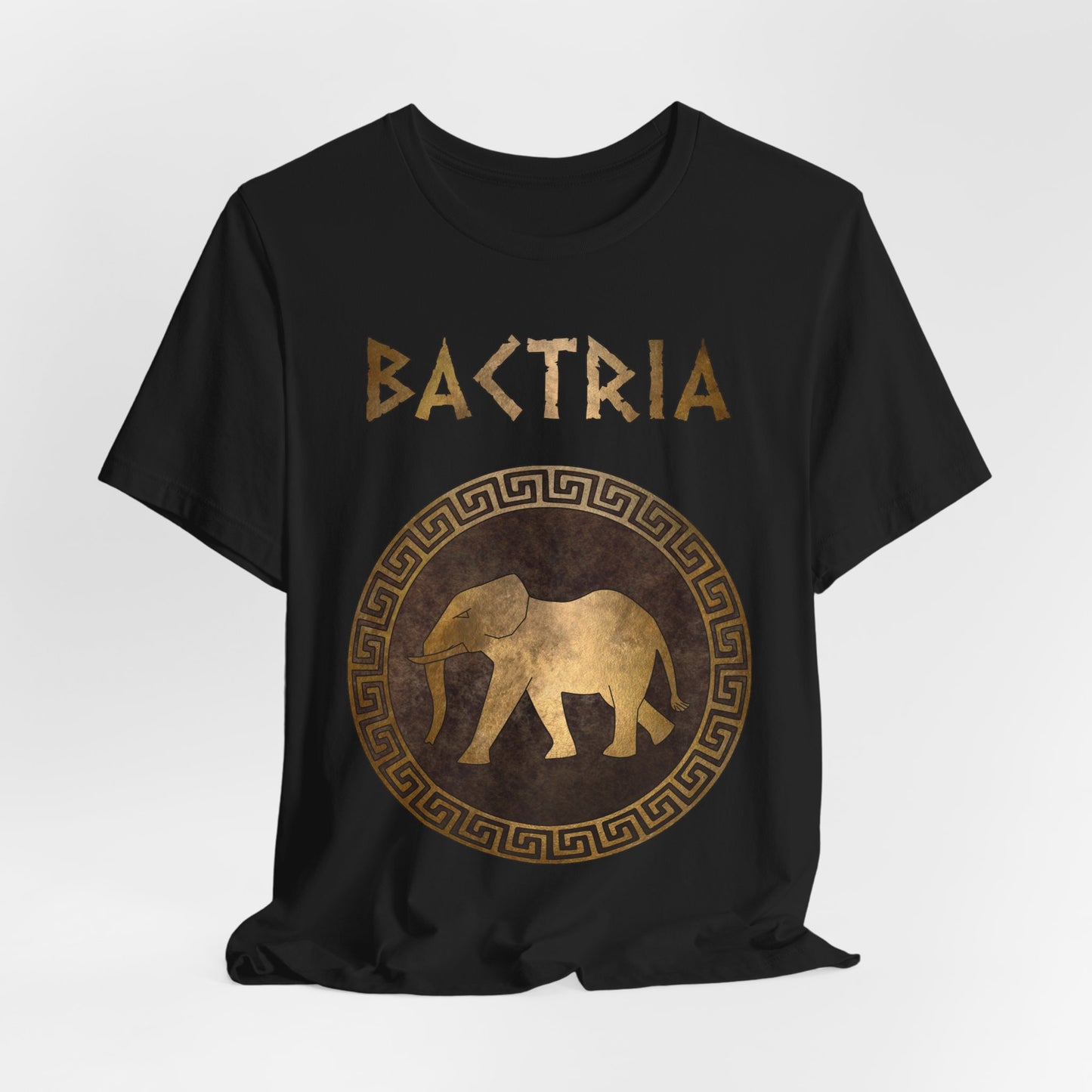 Bactria Ancient Indo-Greek Kingdom Symbol T-Shirt