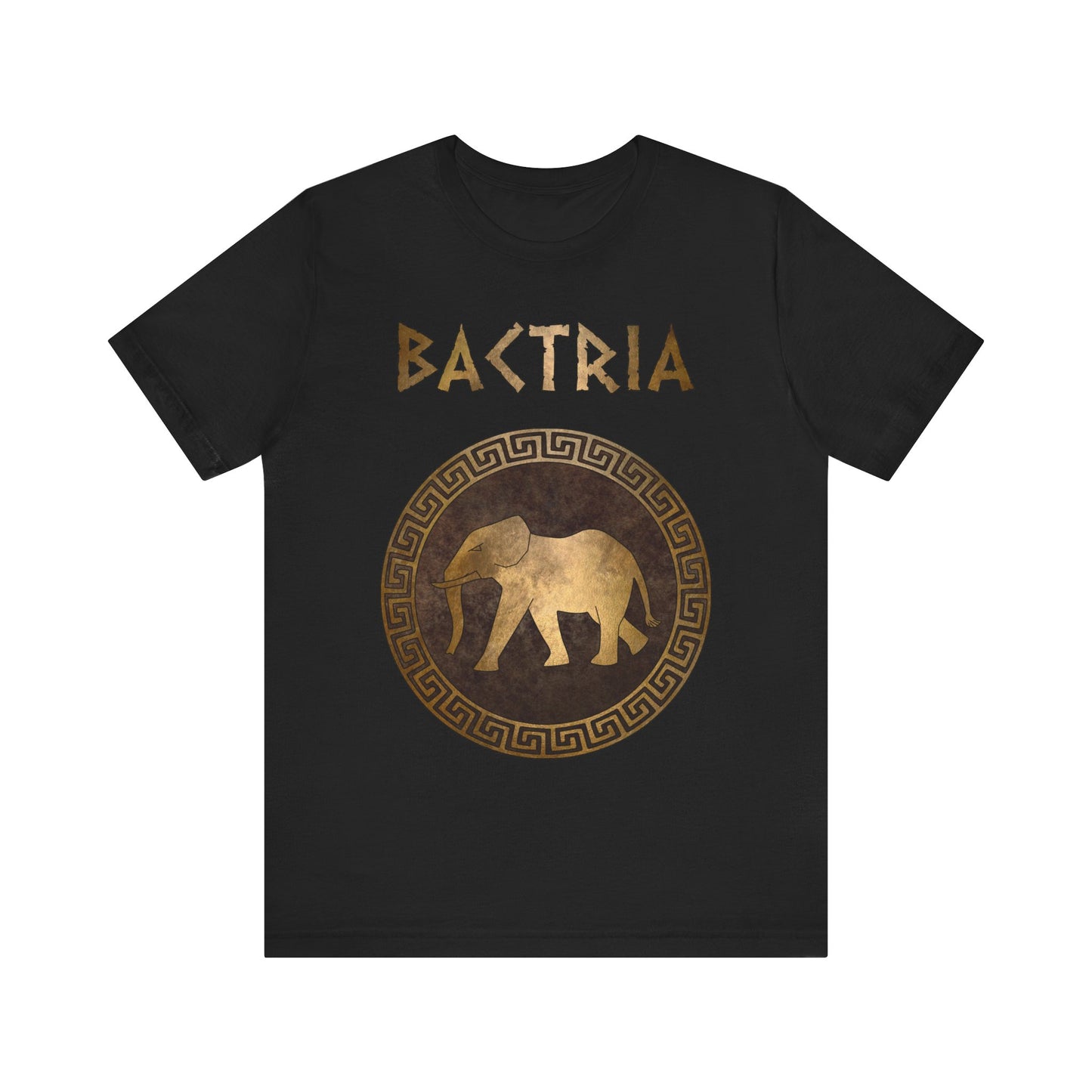 Bactria Ancient Indo-Greek Kingdom Symbol T-Shirt