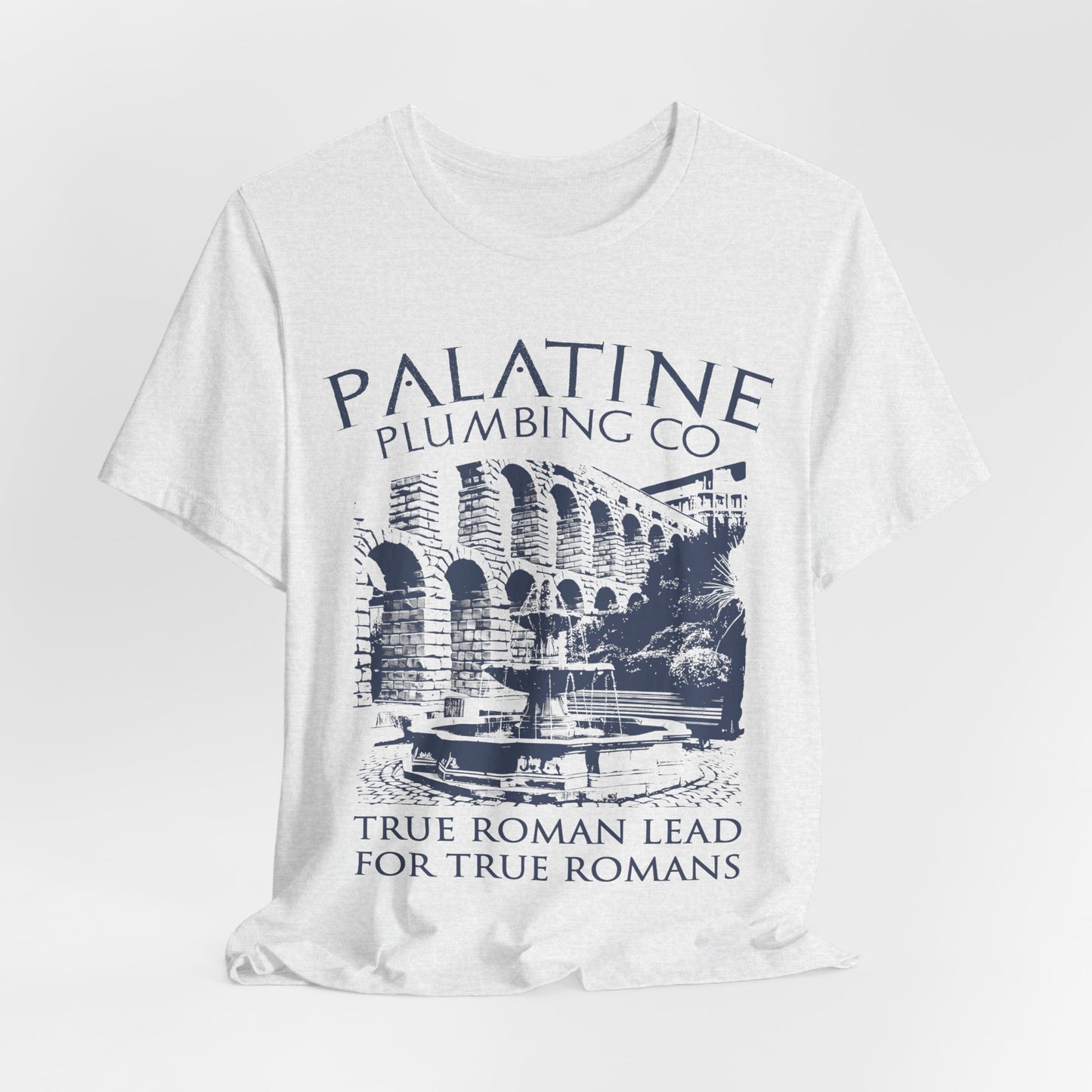 Palatine Plumbing Co - Funny Roman History T-Shirt