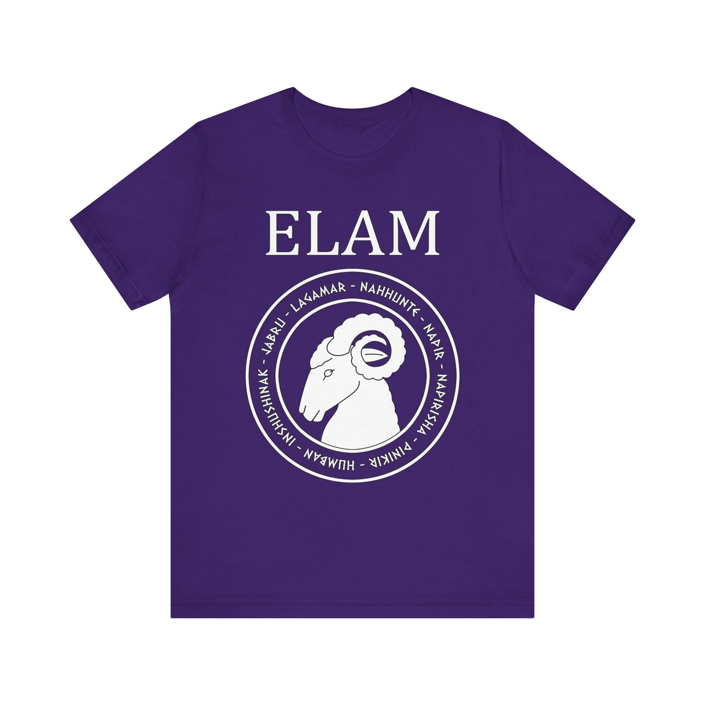 Elam - Ancient Elamite Gods - Bronze Age Civilization Elam T-Shirt