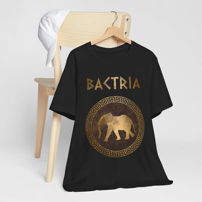 Bactria Ancient Indo-Greek Kingdom Symbol T-Shirt