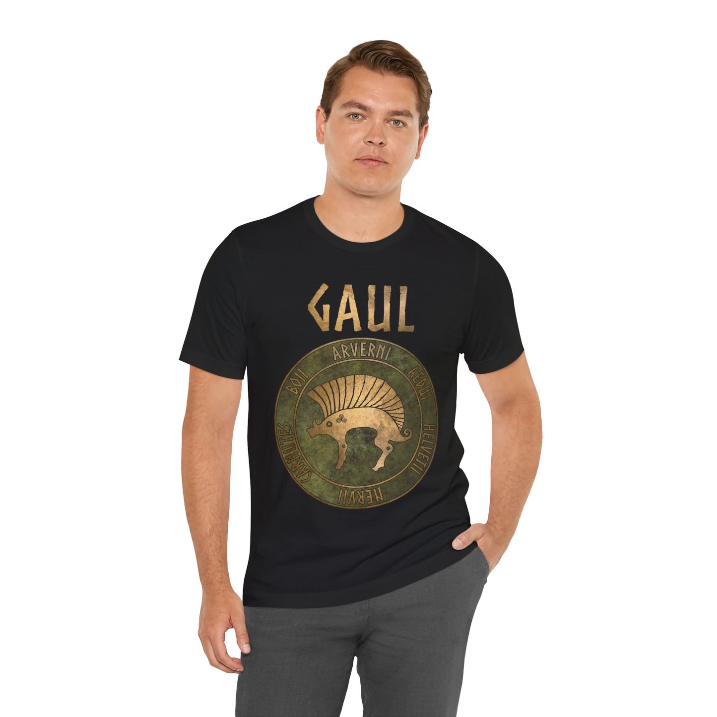 Gaul Ancient Tribes of Gaul Boar Gaelic History T-shirt