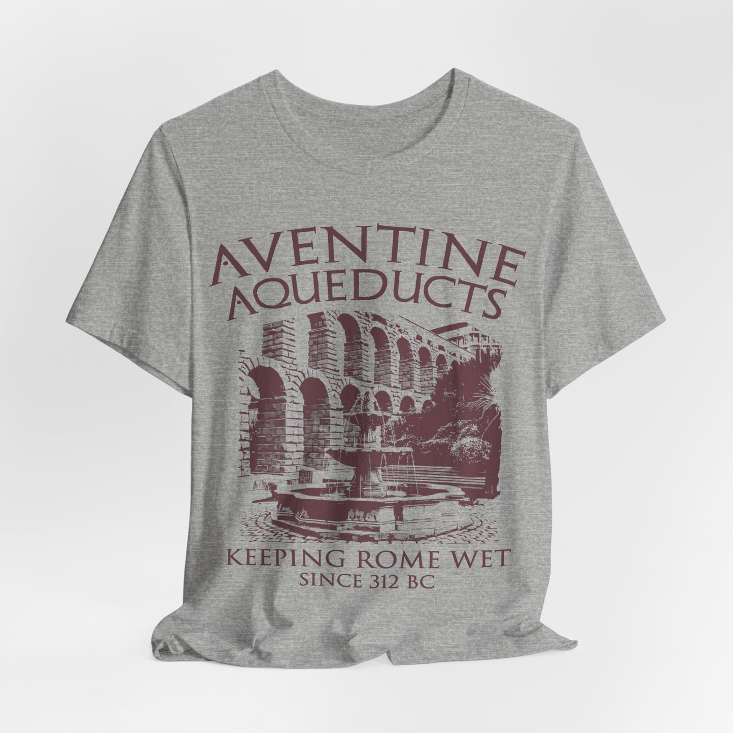 Aventine Aqueducts - Funny Ancient Roman History T-Shirt