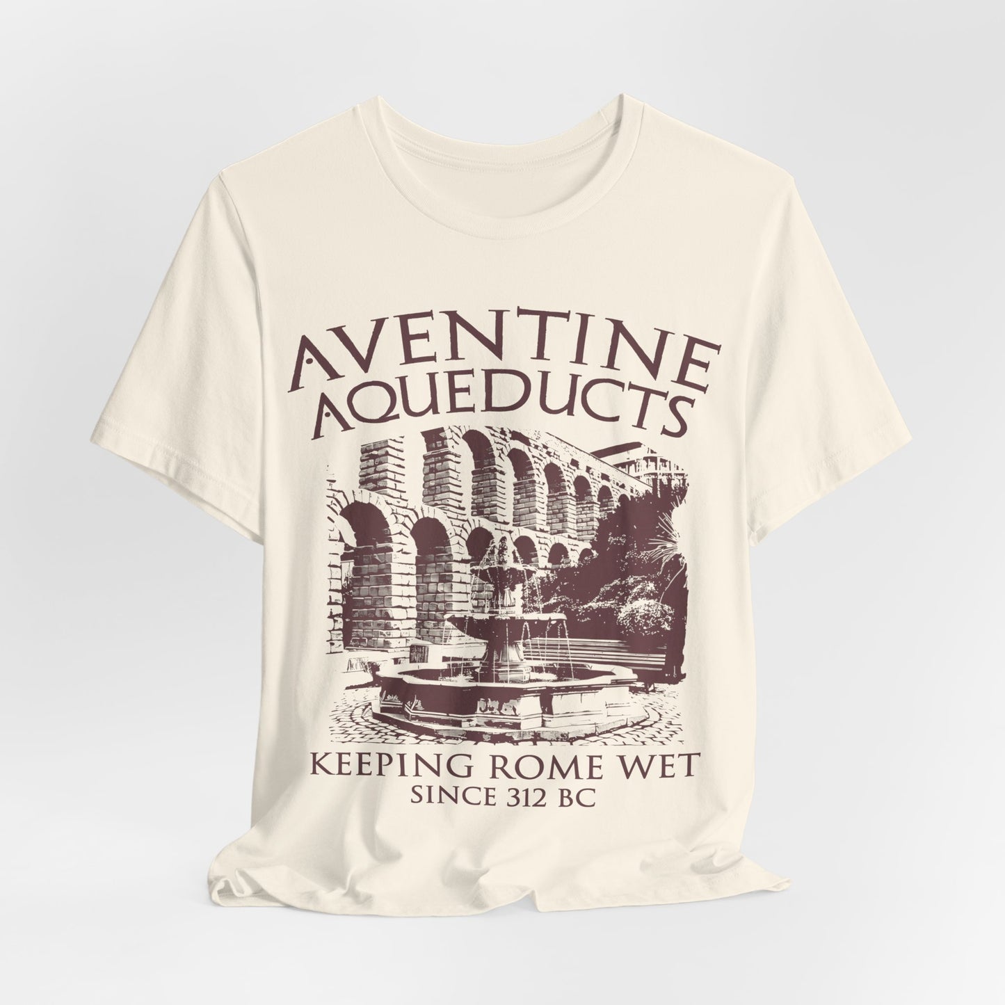 Aventine Aqueducts - Funny Ancient Roman History T-Shirt