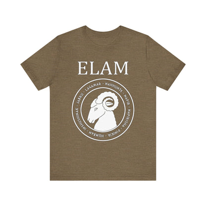 Elam - Ancient Elamite Gods - Bronze Age Civilization Elam T-Shirt