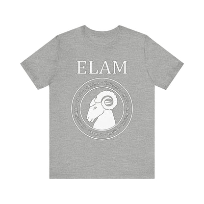 Elam - Ancient Elamite Gods - Bronze Age Civilization Elam T-Shirt