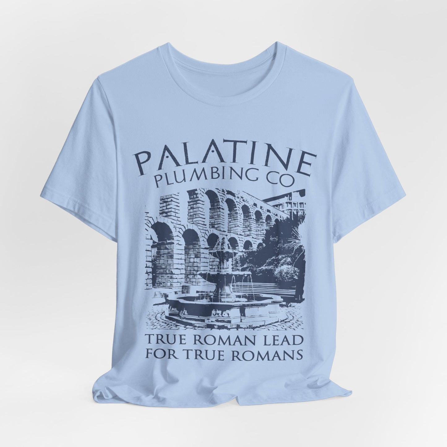 Palatine Plumbing Co - Funny Roman History T-Shirt