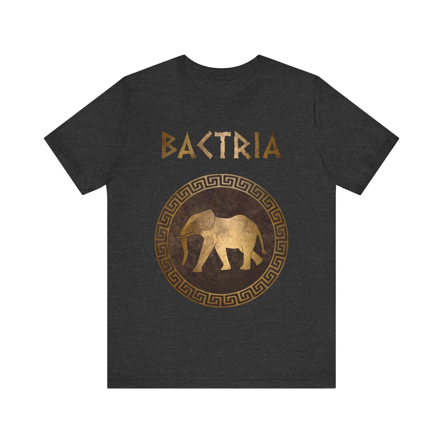 Bactria Ancient Indo-Greek Kingdom Symbol T-Shirt