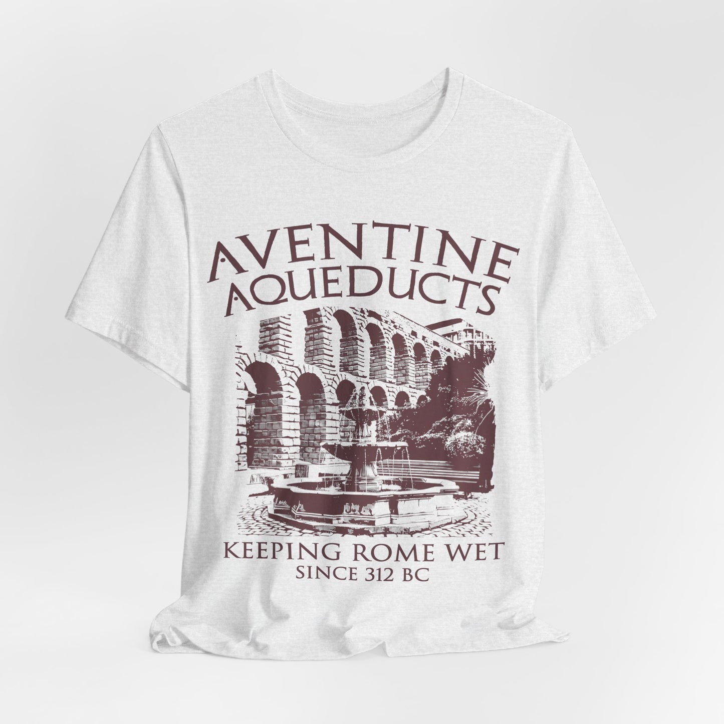 Aventine Aqueducts - Funny Ancient Roman History T-Shirt