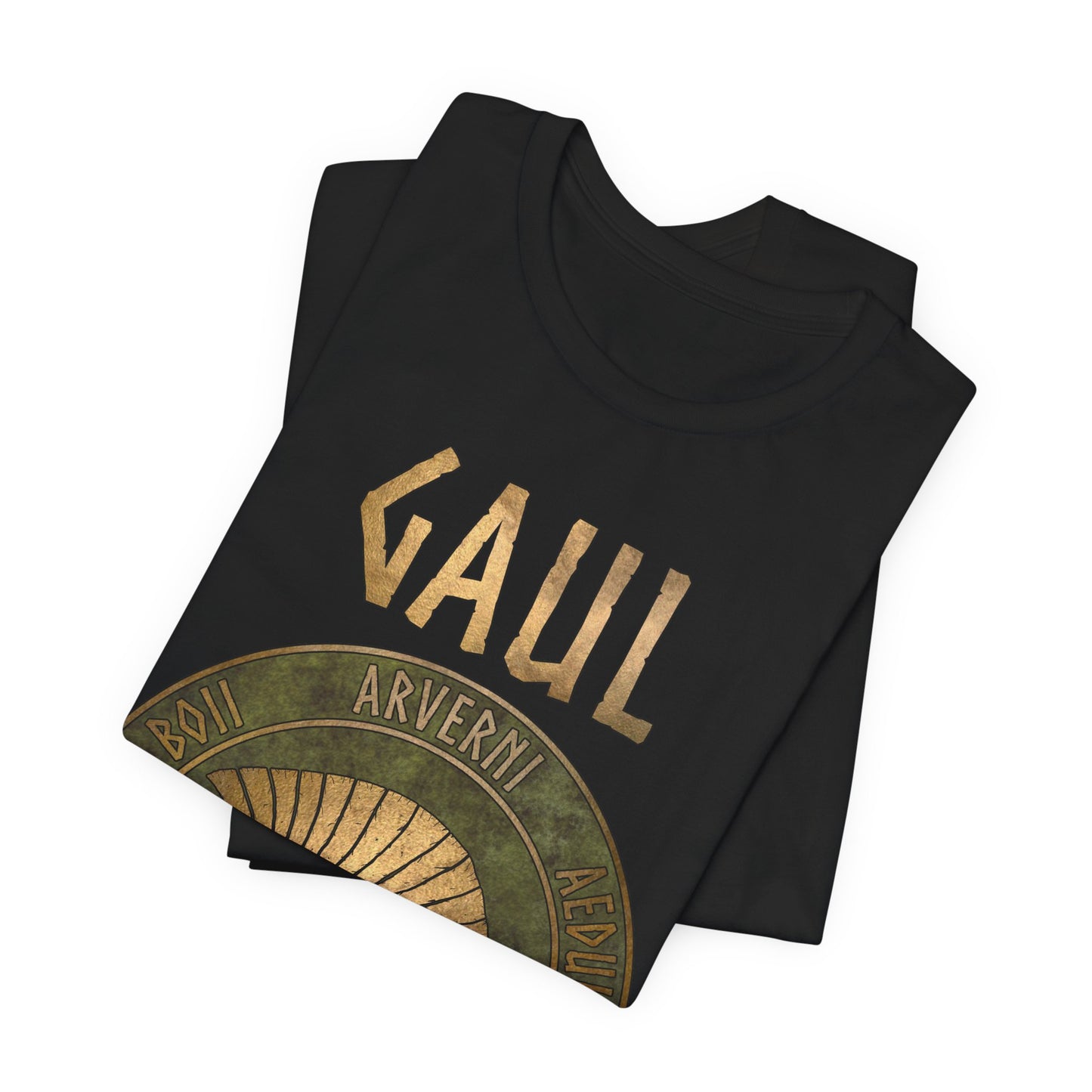 Gaul Ancient Tribes of Gaul Boar Gaelic History T-shirt