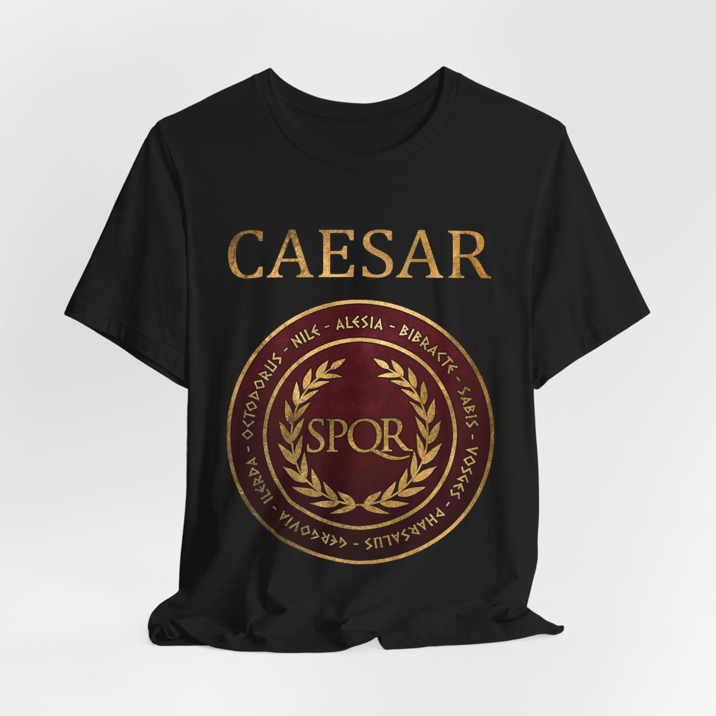 Julius Caesar Famous Battles T-Shirt