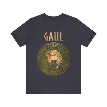 Gaul Ancient Tribes of Gaul Boar Gaelic History T-shirt