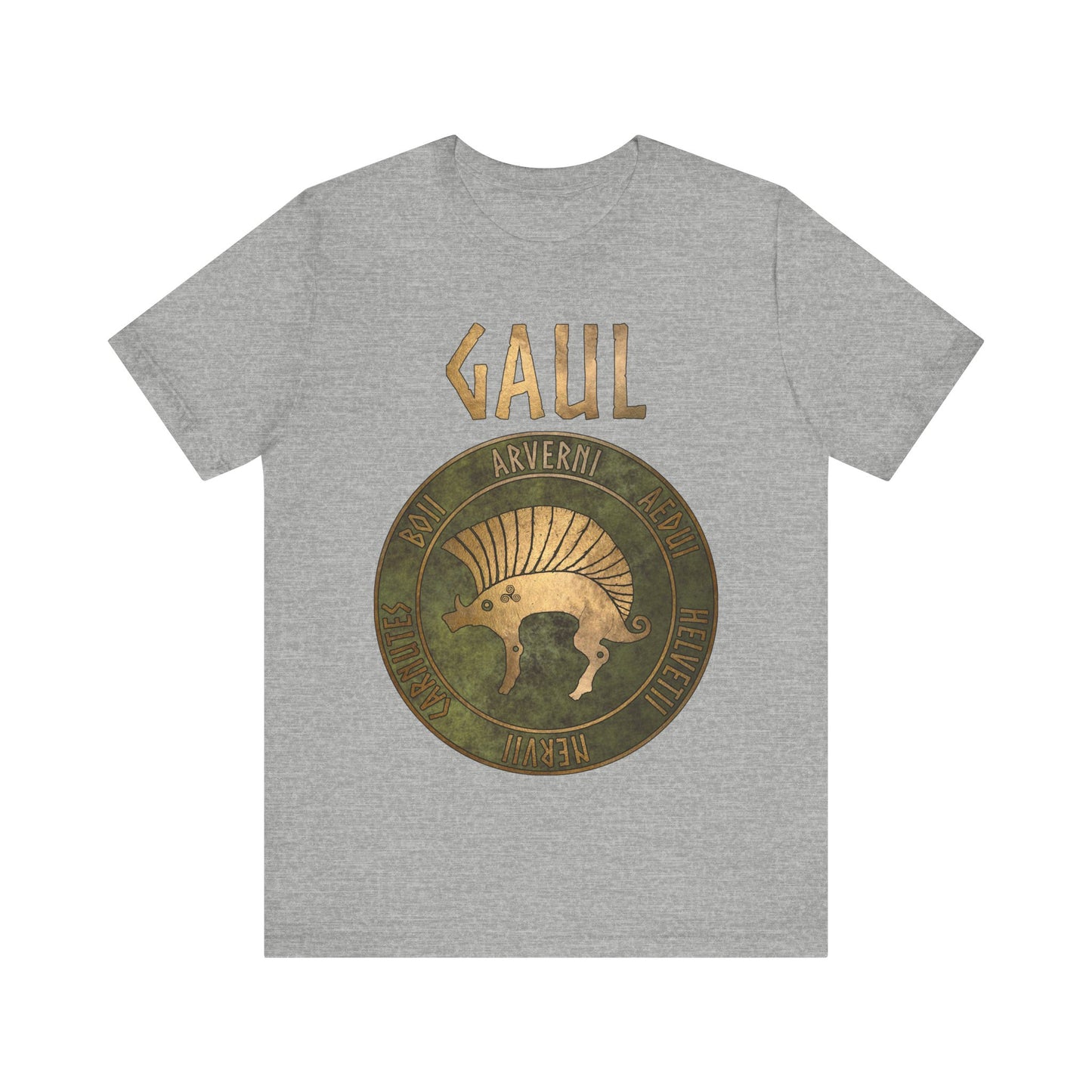 Gaul Ancient Tribes of Gaul Boar Gaelic History T-shirt