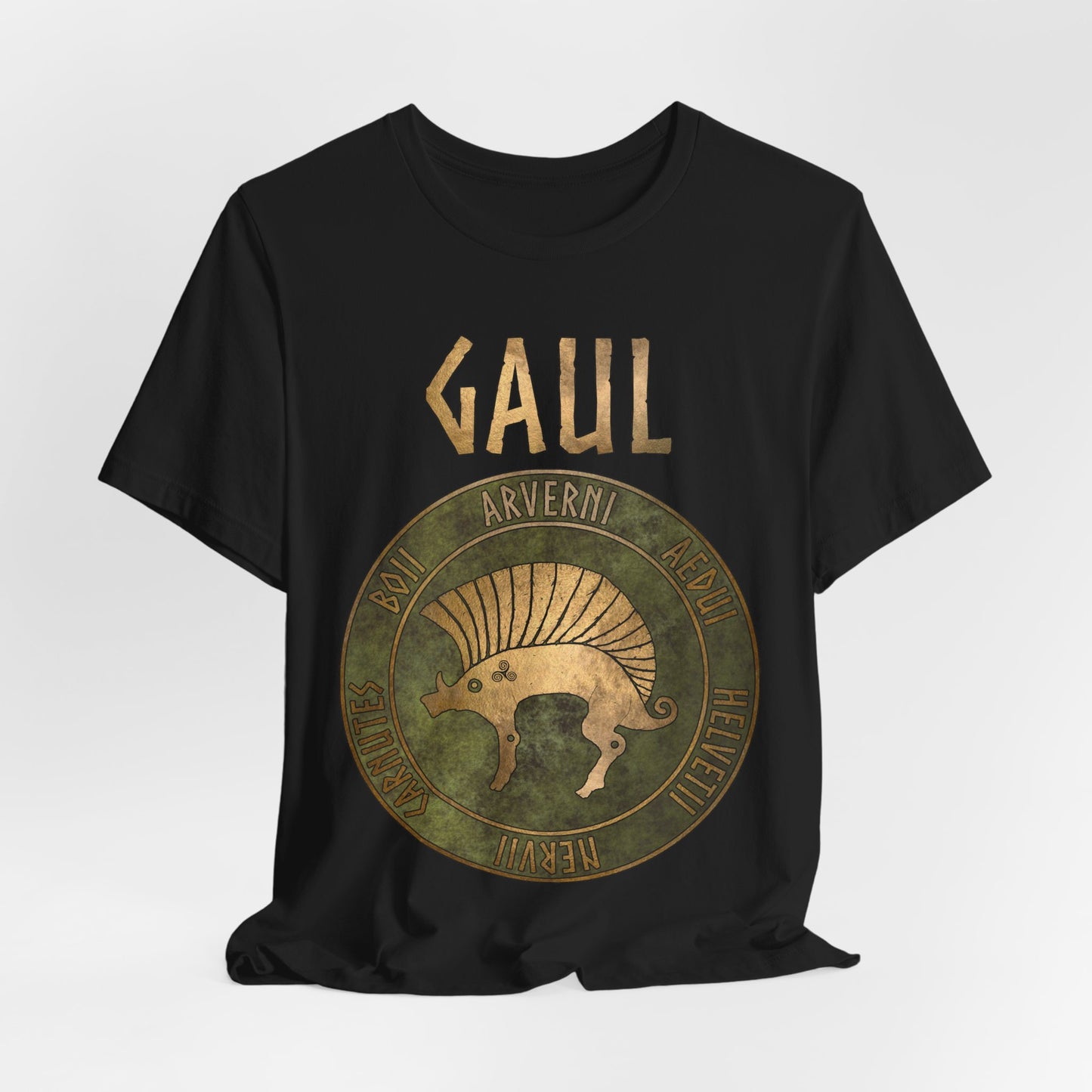 Gaul Ancient Tribes of Gaul Boar Gaelic History T-shirt