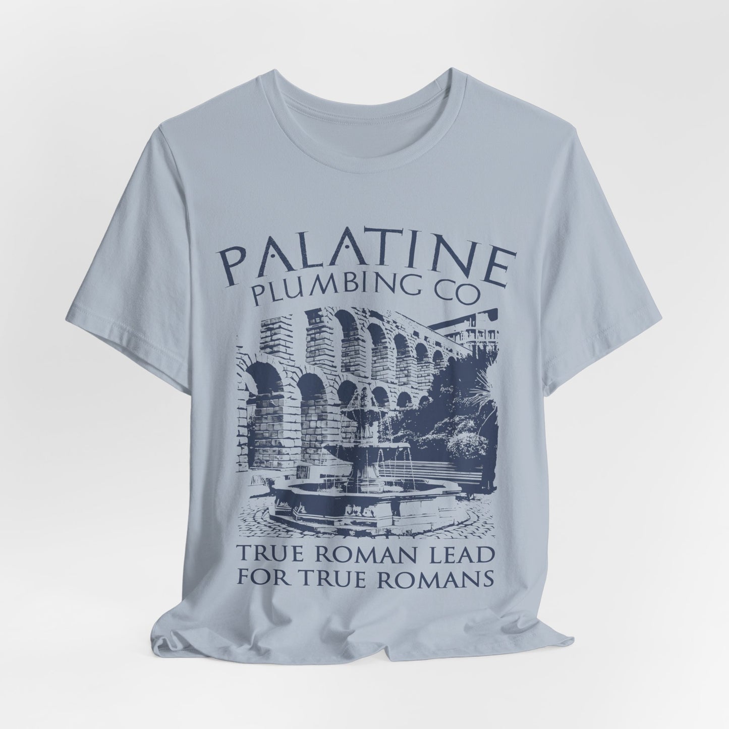 Palatine Plumbing Co - Funny Roman History T-Shirt