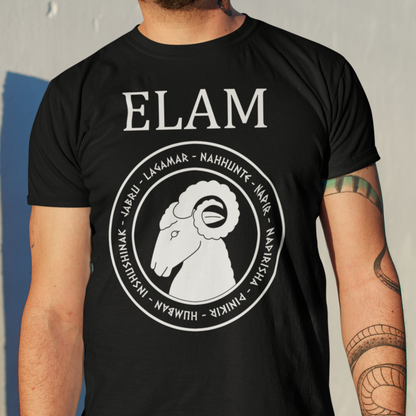 Elam - Ancient Elamite Gods - Bronze Age Civilization Elam T-Shirt