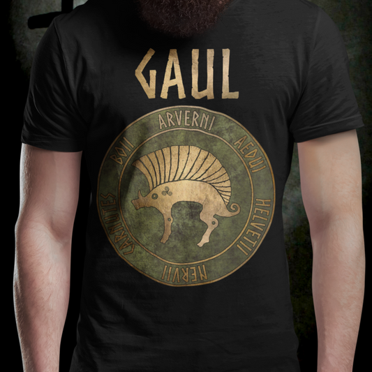 Gaul Ancient Tribes of Gaul Boar Gaelic History T-shirt