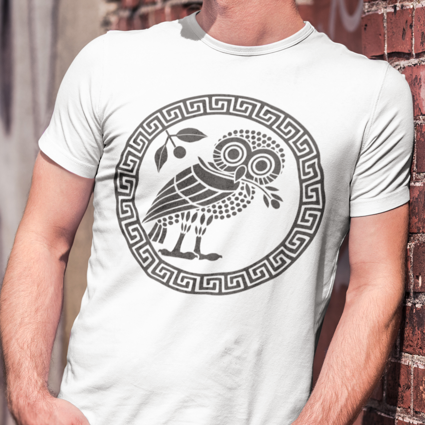 Ancient Athens Owl Symbol of Athena T-Shirt